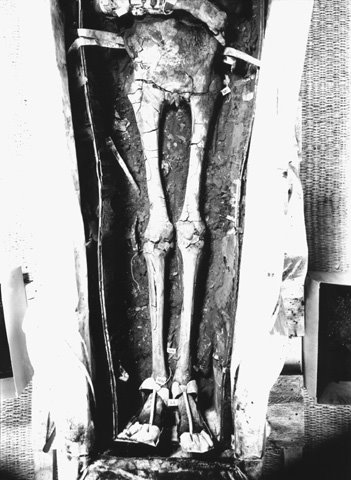 Mummy of Tutankhamun. Ancient Egypt.