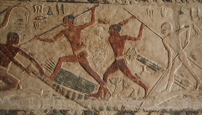 Scene of aquatic fight Relief from the tomb of Khnumhotep and Niankhkhnum in Saqqara. Photo: María Rosa Valdesogo